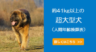 超大型犬の年齢換算表